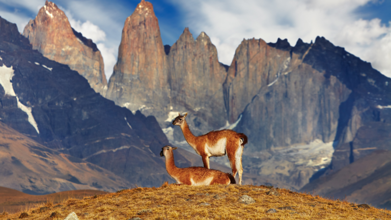 14D10N SA Patagonia: A Land Unknown (Flights Included)