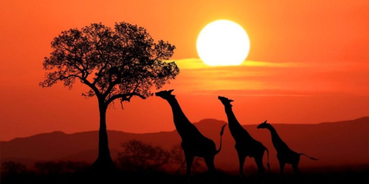 8D7N Discover South Africa