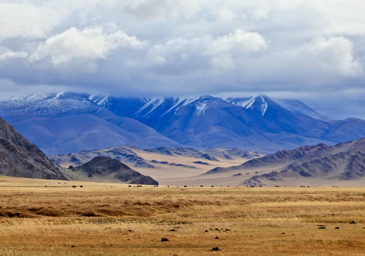 8D7N Inner Mongolia Grassland (Flight Included)