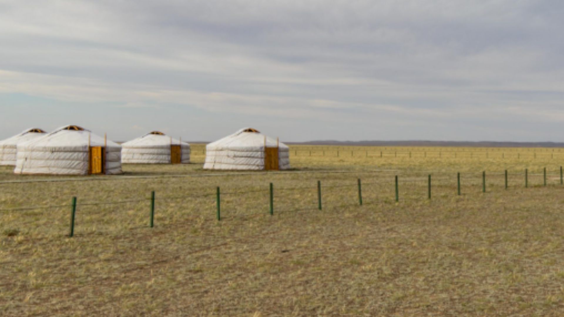 Bayan Zag Ger Camp 
