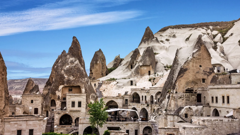 8D7N Splendid Turkey
