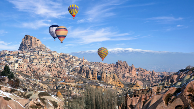 8D7N Splendid Turkey