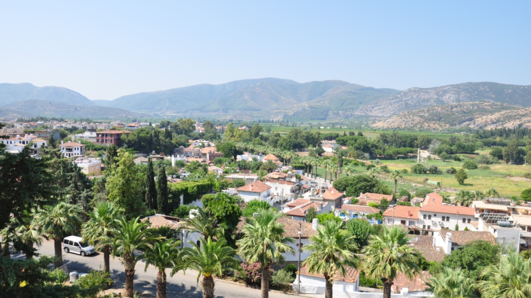 8D7N Splendid Turkey