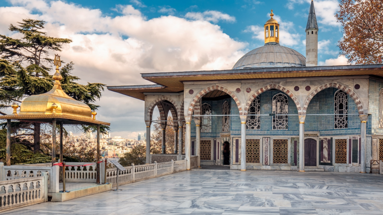 8D7N Splendid Turkey