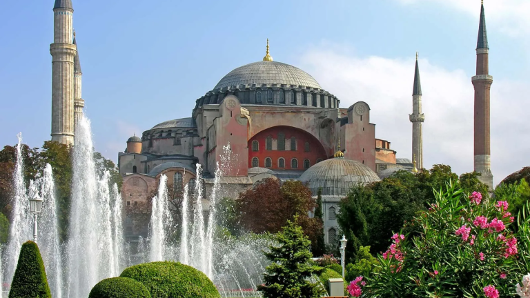 8D7N Splendid Turkey