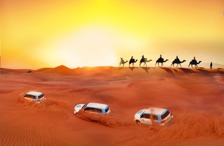 desert safari (1)