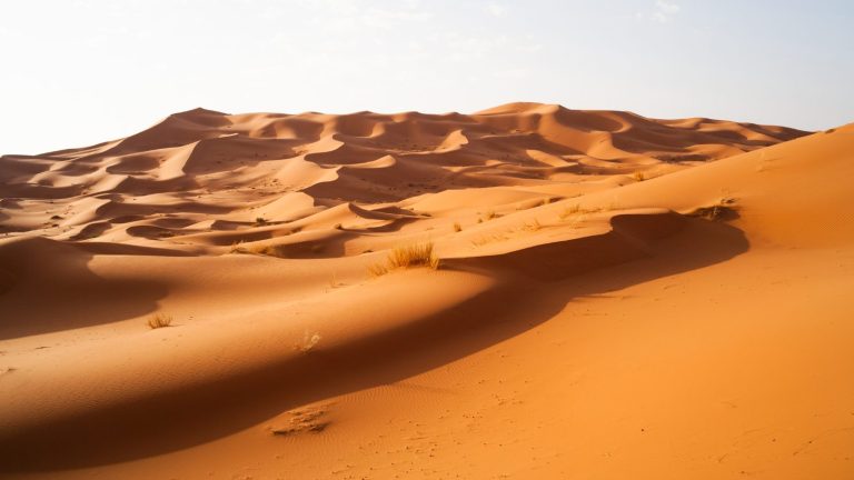 Sahara Desert