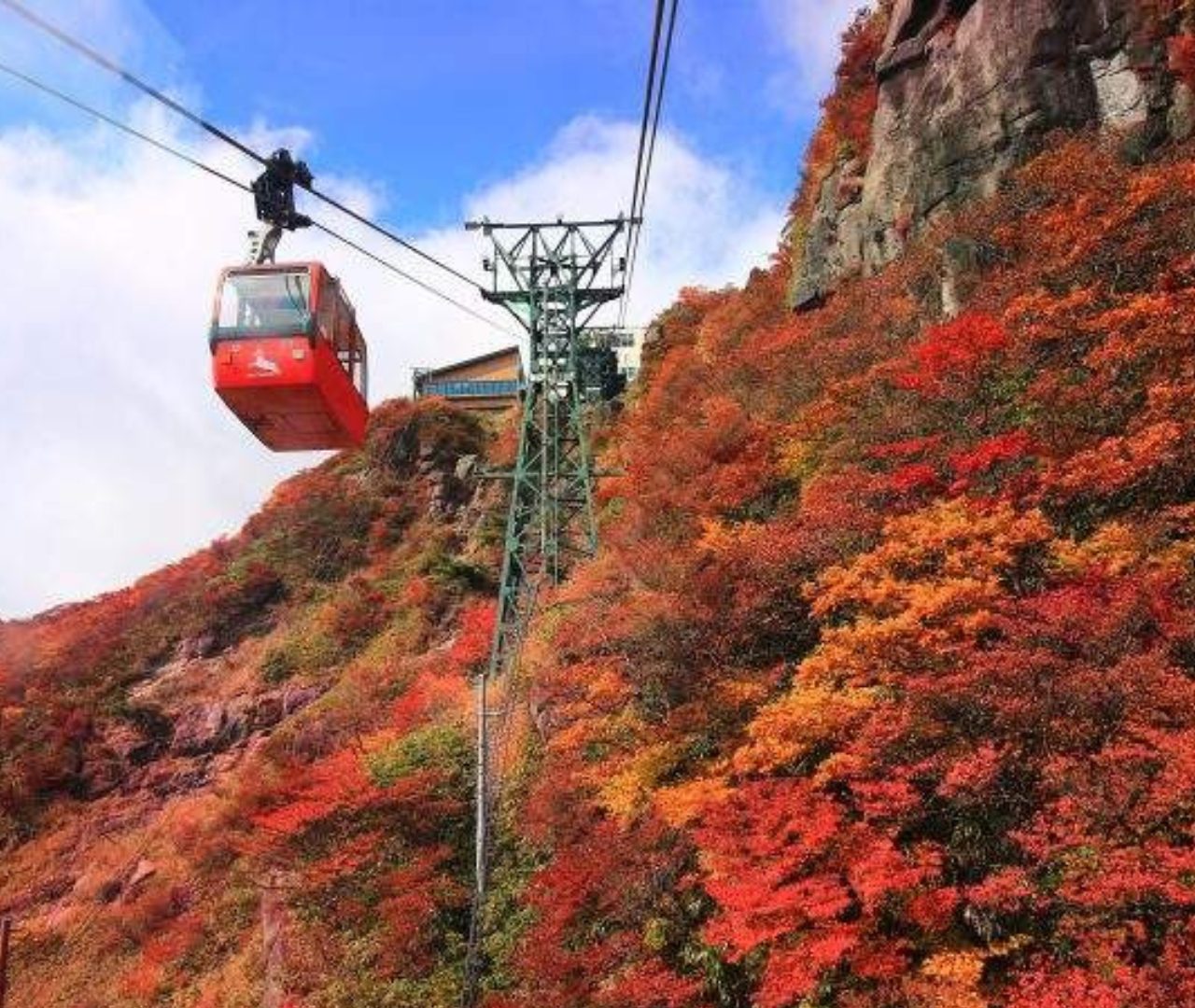 4D3N Explore Hokkaido (Autumn Season)