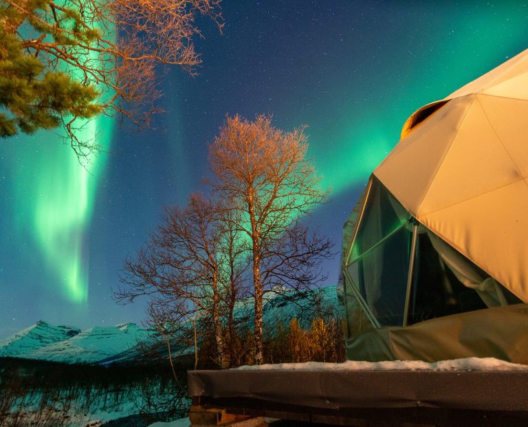 Northern lights glow green over a snow-covered landscape with bare trees and a geodesic dome tent in the foreground.