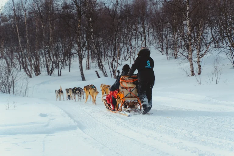 Person in winter gear guiding a dog sled through a snowy forest trail. and a team of sled dogs