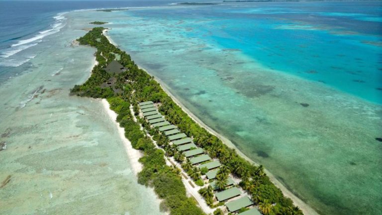 Aerial view of a beach