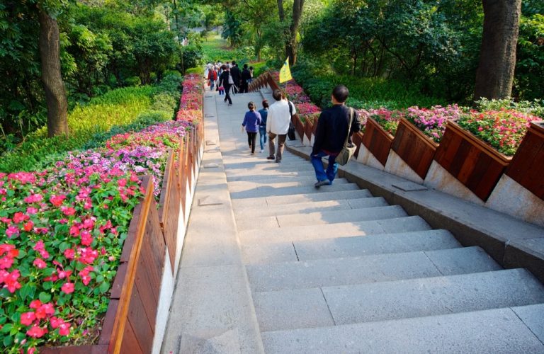 walking down stairs lined