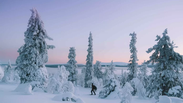 Serene Winter Landscape