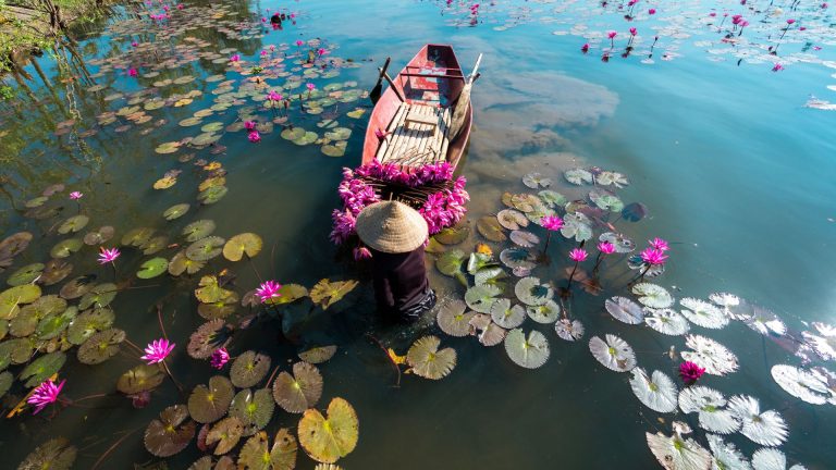 4D3N Discovery Danang