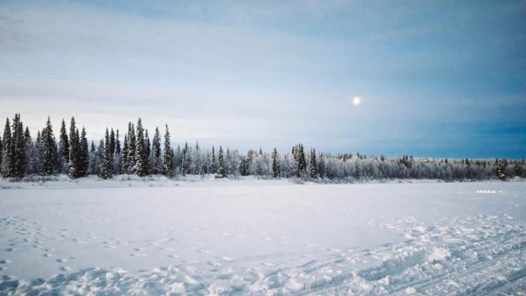 A serene snow-covered field