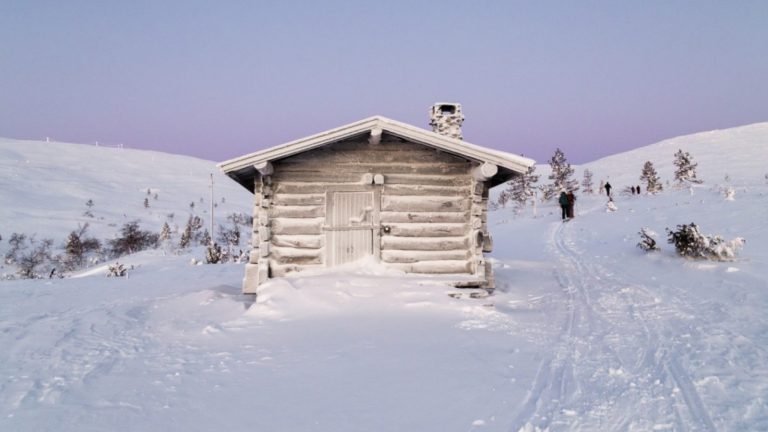 A tranquil snow-covered field