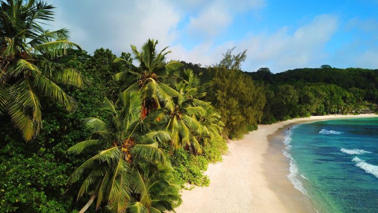 A serene beach scene