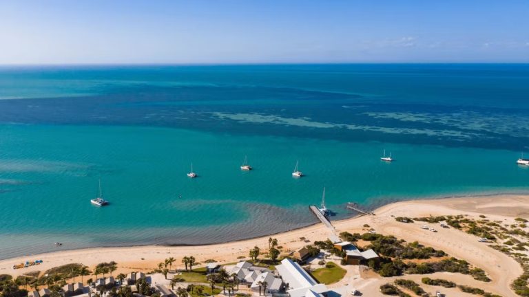 Aerial view of a beach