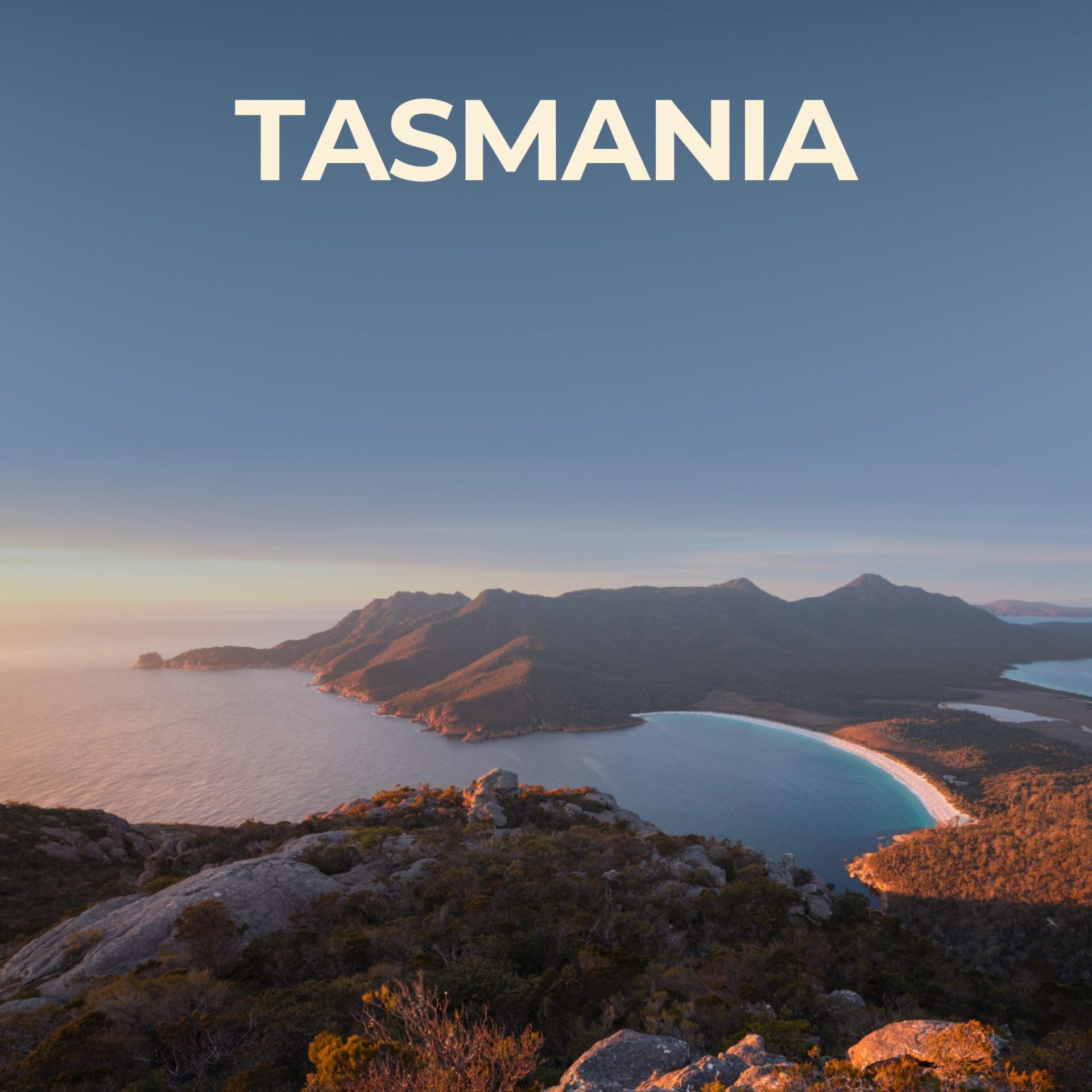 4.-TASMANIA-WEBSITE-TILE