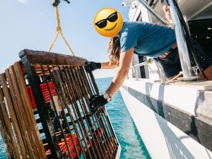 Lobster pulling