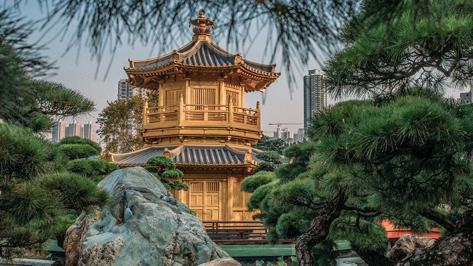 6D5N Discover Real Hong Kong (Private)