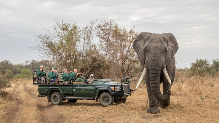 9D8N Discover South Africa