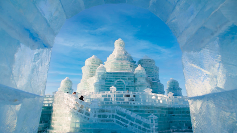 8D7N Harbin Winter Signature