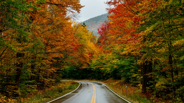 10D9N USA Highlights of New England
