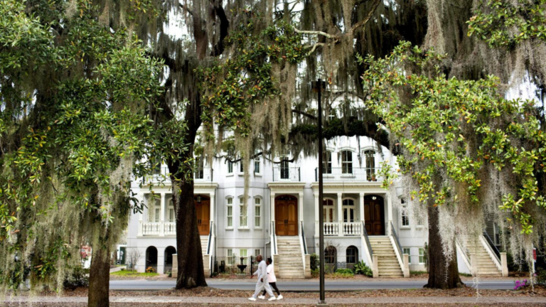 9D8N USA Deep South Discovery