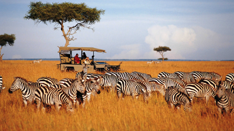 7D6N Ultimate Kenya Safari
