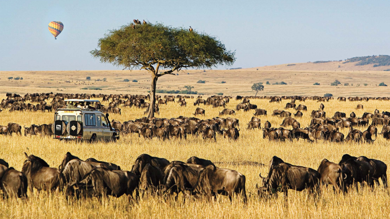 7D6N Ultimate Kenya Safari