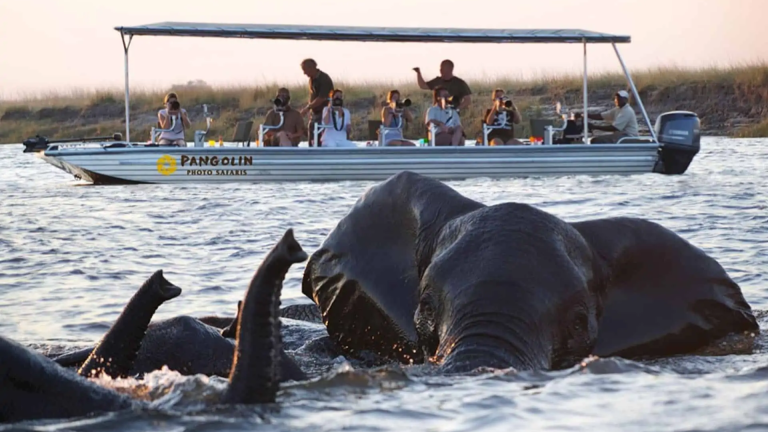 10D9N Signature: Southern Africa’s Kruger, Chobe & Victoria Falls