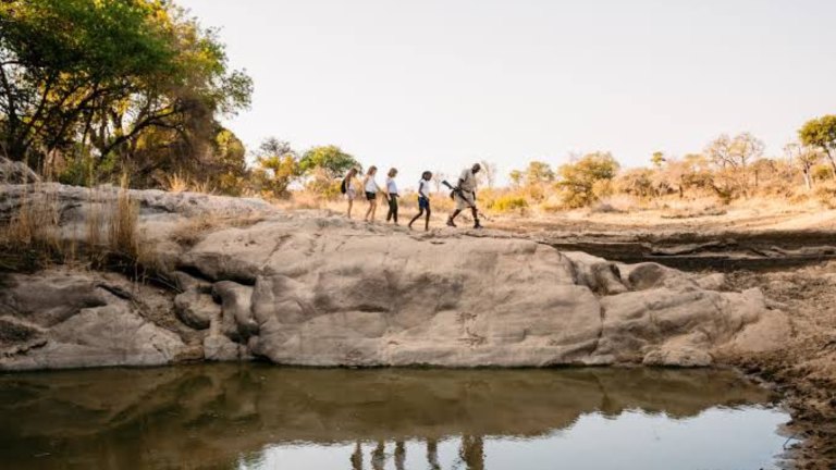 10D9N Signature: Southern Africa’s Kruger, Chobe & Victoria Falls