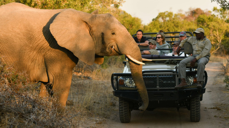 10D9N Signature: Southern Africa’s Kruger, Chobe & Victoria Falls