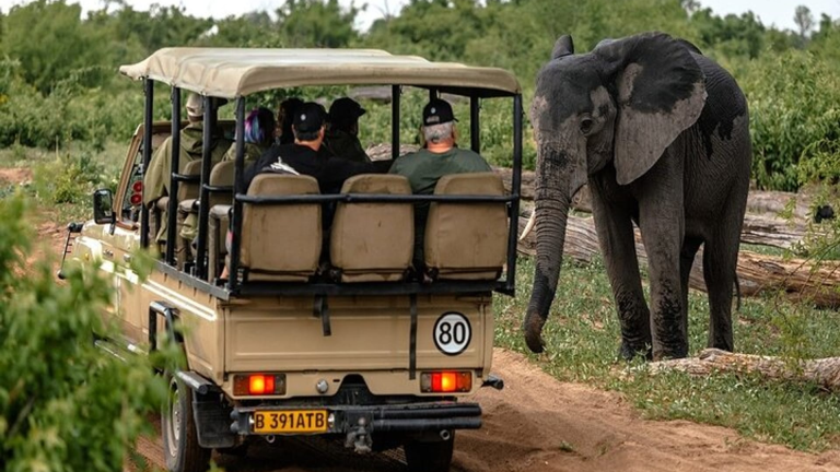 10D9N Signature: Southern Africa’s Kruger, Chobe & Victoria Falls