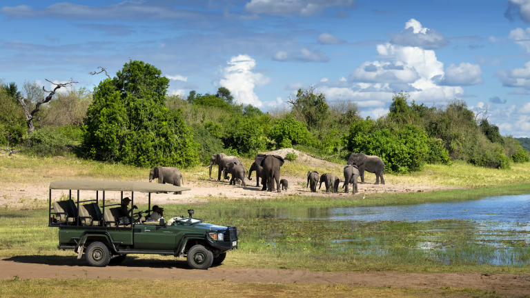 10D9N Signature: Southern Africa’s Kruger, Chobe & Victoria Falls