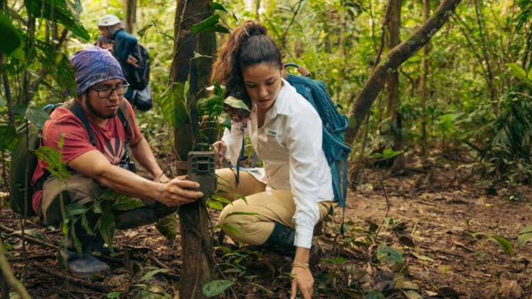 12D11N Signature: Peru From Machu Picchu to the Amazon Jungle