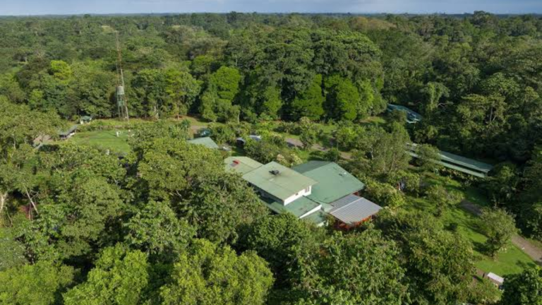 12D11N Signature: Costa Rica’s Tortuguero, Arenal & Cloud Forests