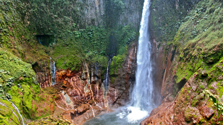 12D11N Signature: Costa Rica’s Tortuguero, Arenal & Cloud Forests