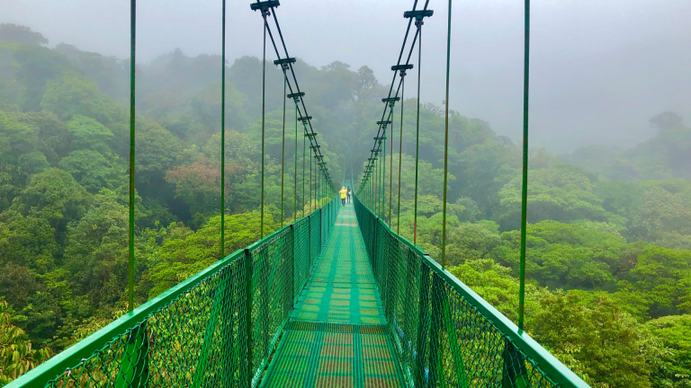 12D11N Signature: Costa Rica’s Tortuguero, Arenal & Cloud Forests