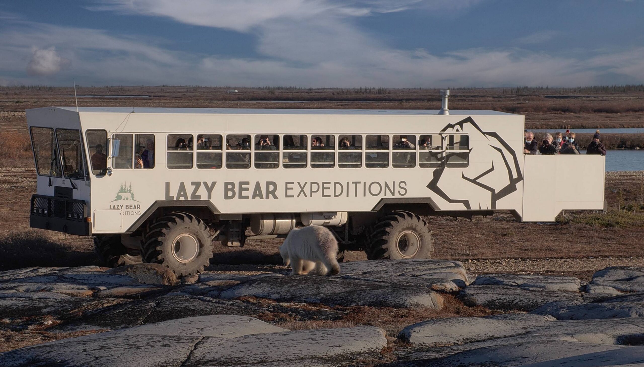 Tour bus labeled Lazy Bear Expeditions with passengers on the open top deck in a rocky Arctic landscape; a polar bear stands nearby in the foreground.