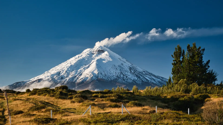 15D14N Ecuador: Natural Wonders & Ancient Cultures with Galápagos Cruise