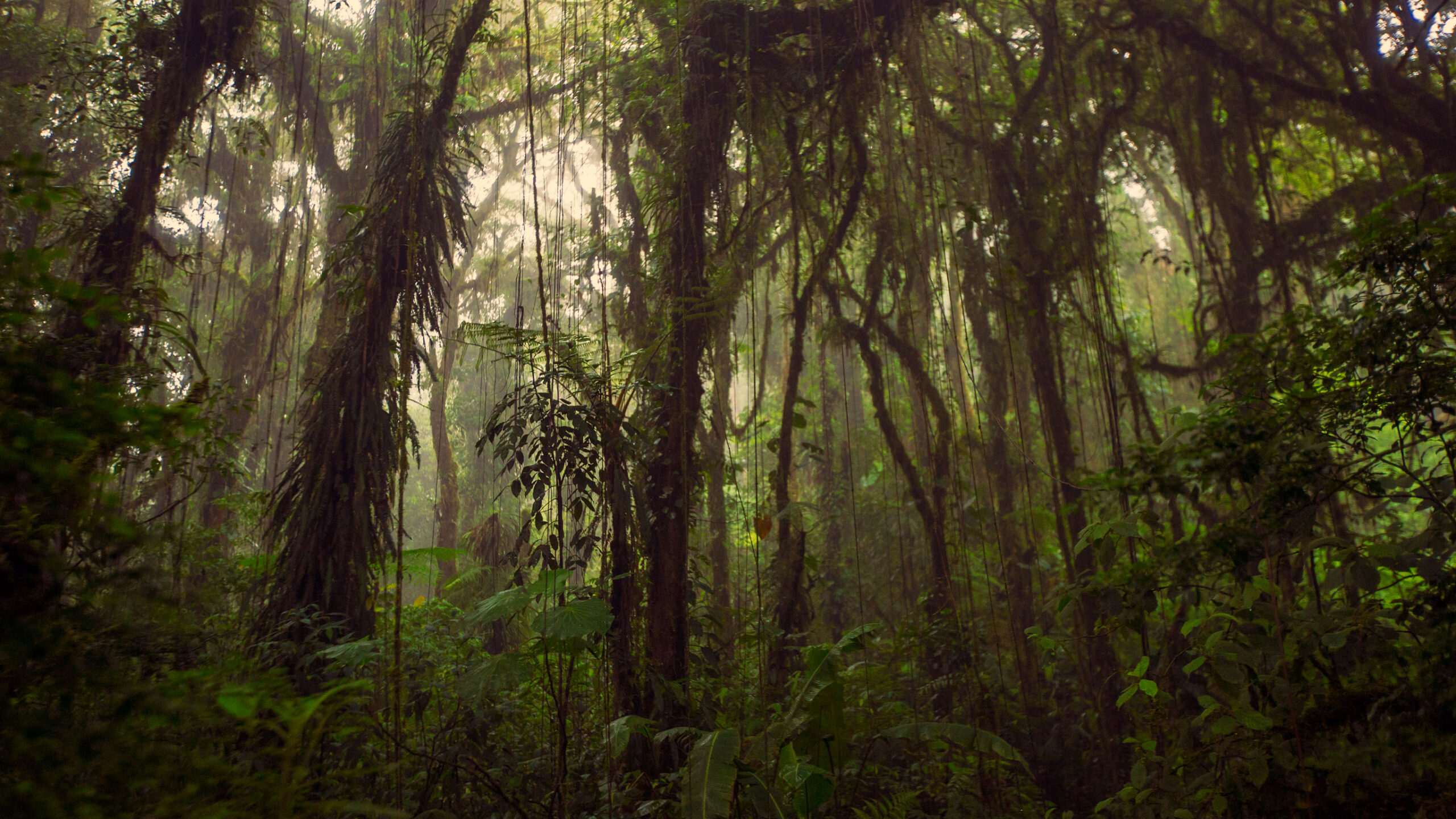 9D8N Journeys: Highlights of Costa Rica (CRNNG)