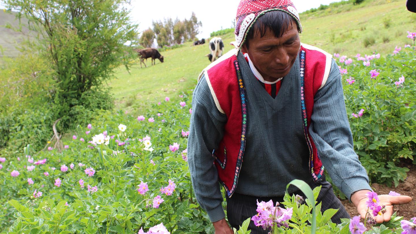16D15N Journeys: Treasures of Peru & Bolivia (SPLNG)